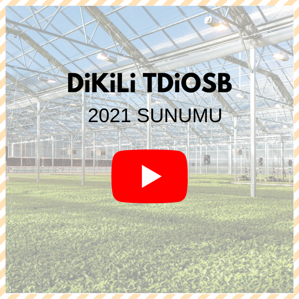 DİKİLİ TDİOSB 2021 YILI SUNUMU