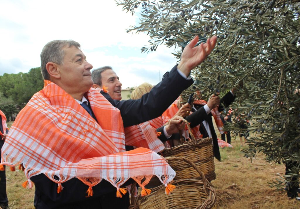Bergama’da Zeytin ve Zeytinyağı Sezonu Açıldı!