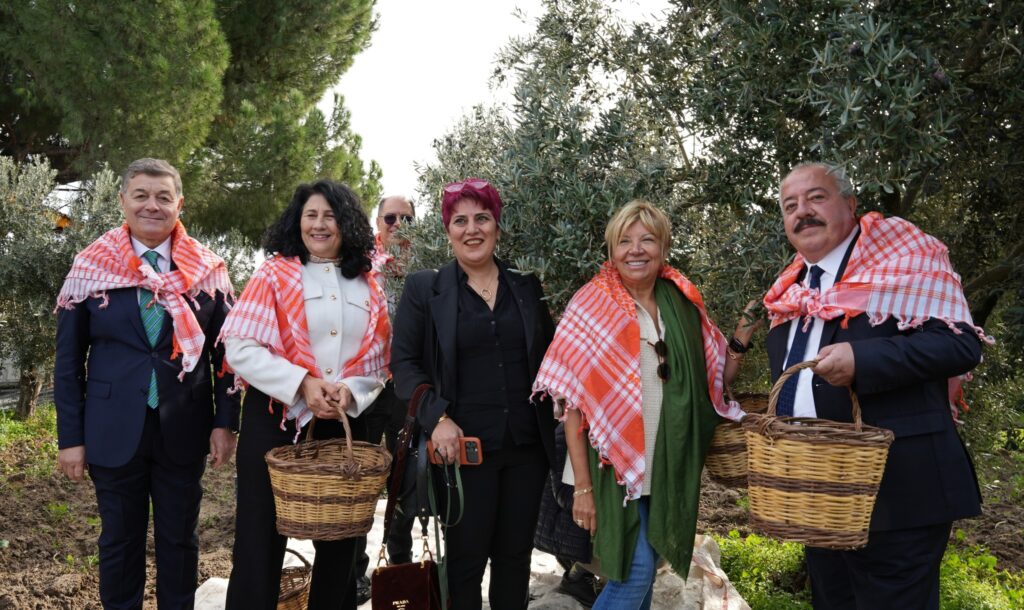 Kınık’ta “Zeytin Hasat Sezon Açılışı” Yapıldı